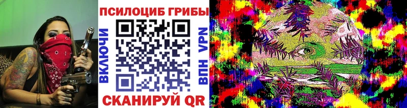 Купить где  Буй  Галлюциногенные грибы мицелий 
